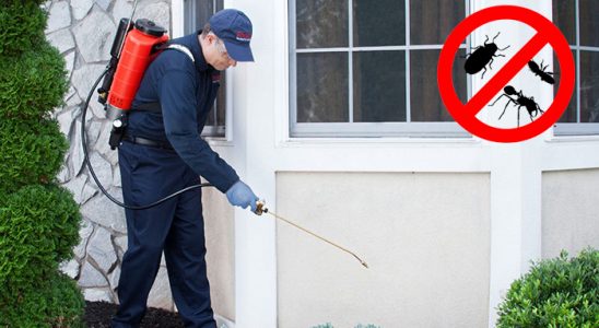 Evka 1 Böcek ve Haşere İlaçlama böcek ilaçlama ve haşere kontrolü — ilaclama-tr.com
